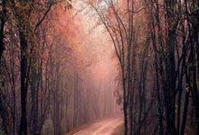 股市杠杆怎么操作:手机炒股好用的选哪款-纪念中国人民抗日战争暨世界反法西斯战争胜利80周年大会隆重举行 习近平发表重要讲话并检阅部队